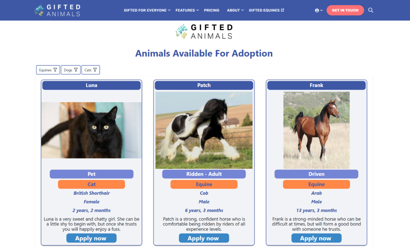 Rehoming applications Three animals available for adoption: a black cat, a dog, and a horse.